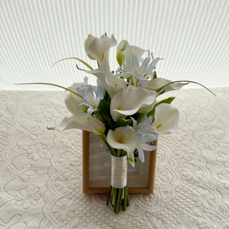 Home Decor Locations - ins small fresh white and blue