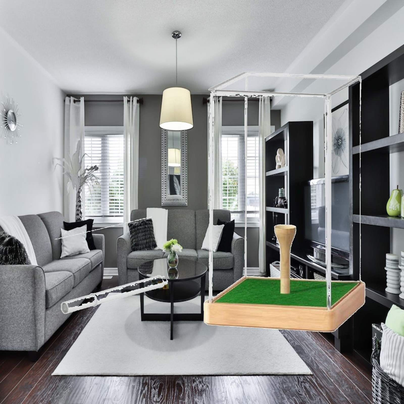 Golf Ball Case Acrylic Display - Home Decor Green 评论和价格