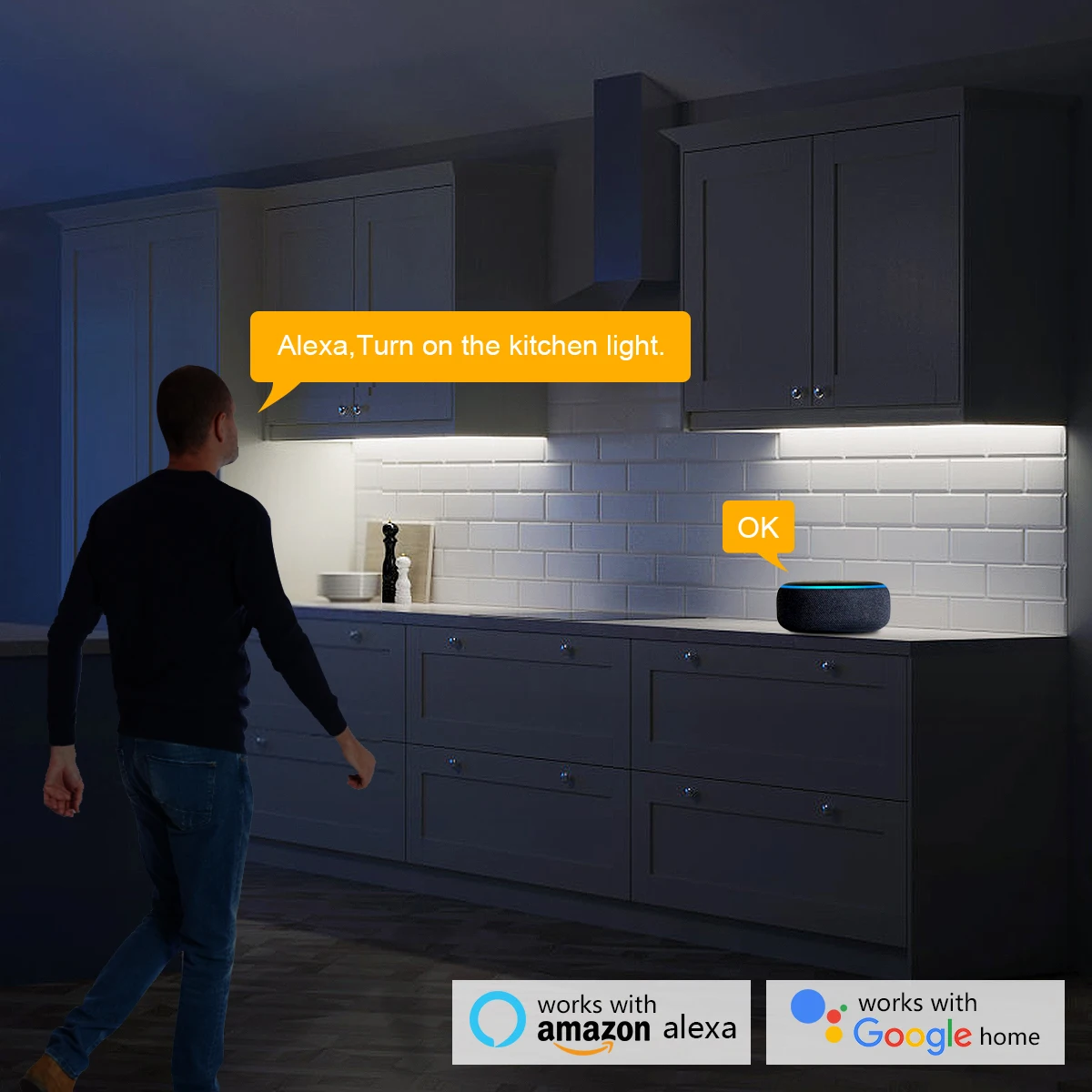 Smart Home Zigbee Tuya Voice C - Home Decor App 评论和价格